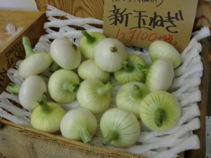 甘い新たま＆朝採り新鮮野菜入荷します