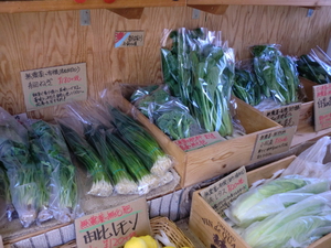 甘い新たま＆朝採り新鮮野菜入荷します