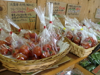 味濃厚な地元の浜トマト