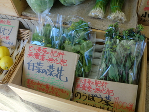 3日　朝採りフレッシュ浜野菜が入荷します！