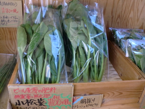 3日　朝採りフレッシュ浜野菜が入荷します！