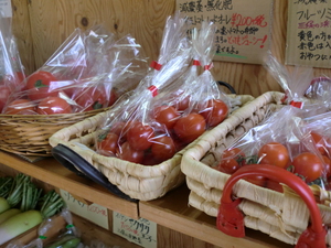 23日も朝採り夏野菜ぞくぞく入荷です！