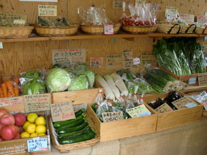 夏野菜盛りだくさんになってきました