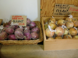 夏野菜盛りだくさんになってきました