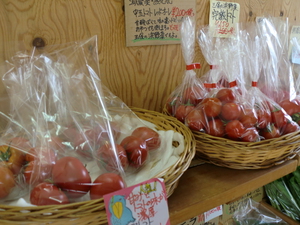 甘いりんご＆濃厚ニューサマー入荷