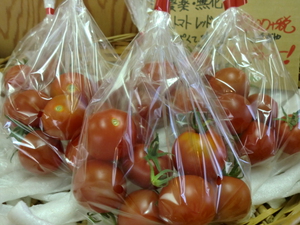 中玉トマトレッドオーレが甘い！