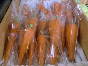 極少生産の新にんじん入荷です