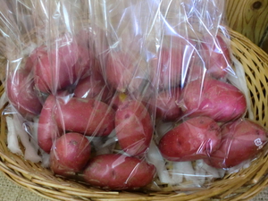 極少生産の新にんじん入荷です