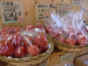 雨予報ですが、野菜＆果物は入荷しますよ！