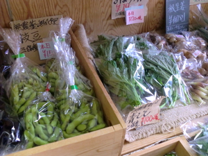 今日のおすすめ野菜