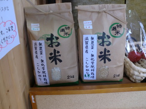 無農薬米コシヒカリ7日15時頃入荷します