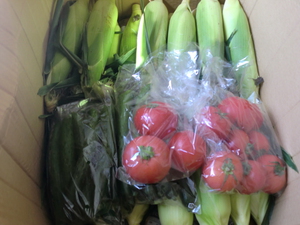 林さんの無農薬野菜が届きました