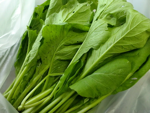 無農薬野菜、平飼い卵、白石蓮根、有機リンゴ　4日いっせい入荷です
