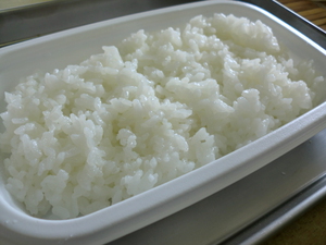 無農薬新米の白ご飯とおすすめ総菜