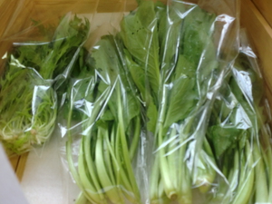 無農薬野菜、卵、りんご揃いました