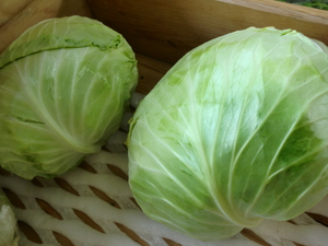無農薬野菜、卵、りんご揃いました
