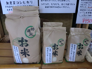 無農薬野菜、卵、りんご揃いました