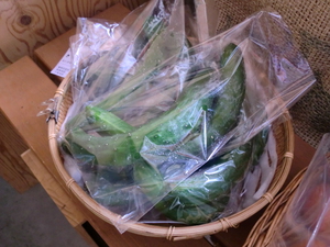 11日の無農薬野菜たくさん入荷してきました