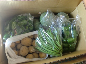 牛尾さん無農薬野菜入荷しました