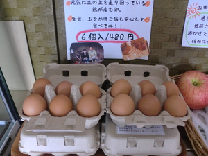 丹波黒枝豆、大浦ごぼう、平飼い卵入荷しました