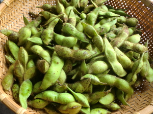 丹波無農薬野菜、和歌山平飼い卵入荷
