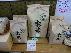 芝川龍田さんの無農薬合鴨新米完売しました
