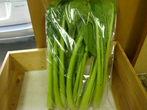 龍田さん無農薬野菜、レタス、キャベツ、りんご、平飼い卵入荷