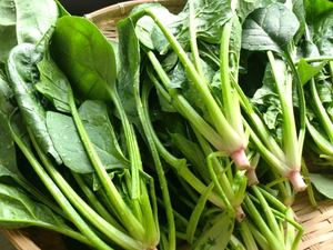 7日は長野の林さん無農薬野菜入荷