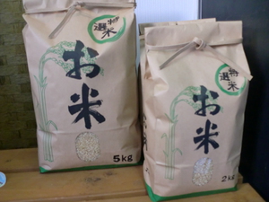 無農薬こしひかり玄米