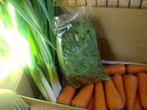 丹波無農薬野菜が入荷