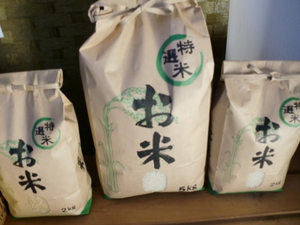 滋賀県無農薬コシヒカリ