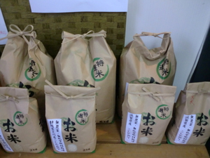 無農薬こしひかり入荷しました
