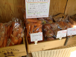 野菜全品入荷しました