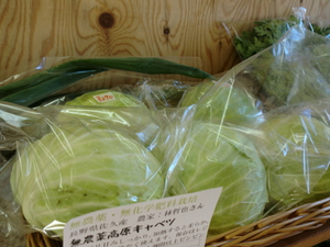 野菜全品入荷しました