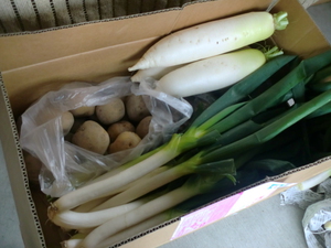 20日入荷　牛尾さんの無農薬野菜