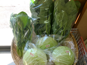 8日の入荷告知　林さんの無農薬野菜、無農薬米