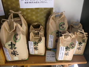 26日入荷告知　無農薬米コシヒカリ滋賀県産