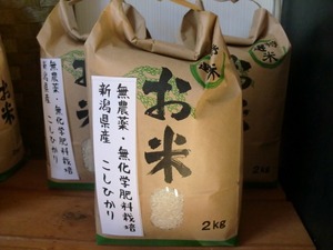 新潟県産無農薬コシヒカリ入荷