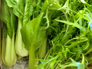 牛尾さんのしろ菜、水菜入荷