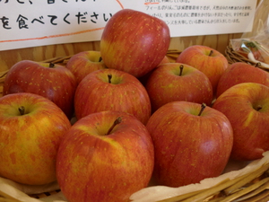 26日入荷告知　無農薬米コシヒカリ滋賀県産
