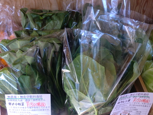 じゃがいも玉ねぎオムレツ　林さん無農薬野菜入荷