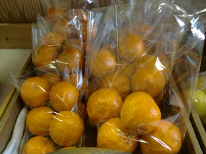 14日の入荷情報　朝霧、芝川、兵庫の無農薬野菜、由比のポンカン、レモン