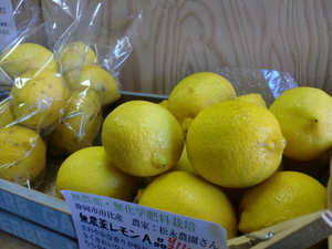 14日の入荷情報　朝霧、芝川、兵庫の無農薬野菜、由比のポンカン、レモン