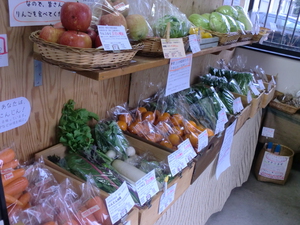 春野菜サラダいかがですか？
