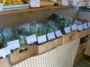 11日土曜も春野菜満載です
