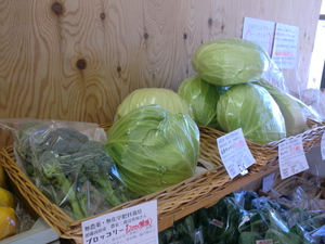 春野菜が並びました