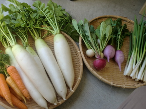 11日土曜も春野菜満載です