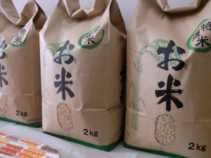 玄米完売しました