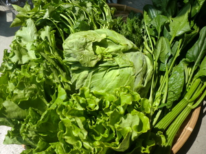 佐藤さんの無農薬野菜入荷しました
