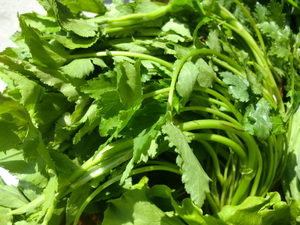 佐藤さんの無農薬野菜入荷しました